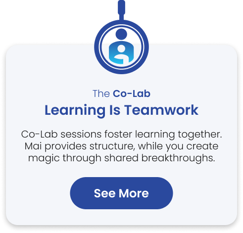 Co-Lab Explanation